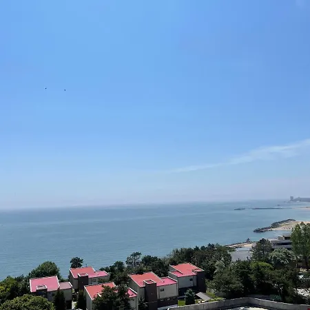 Happiness By Nicole Jutka, Visual Artist Olimp