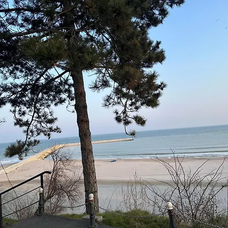 Happiness By Nicole Jutka, Visual Artist Lägenhet