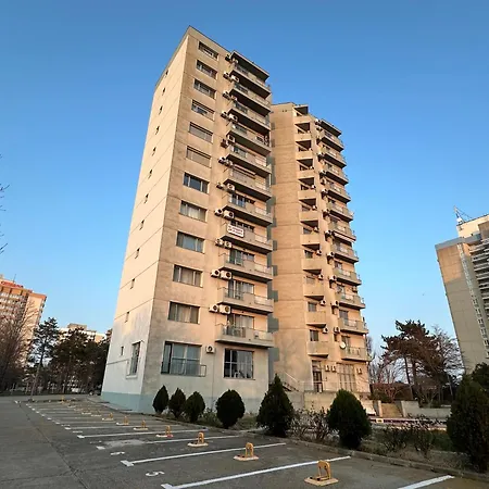 Happiness By Nicole Jutka, Visual Artist