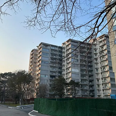 Lägenhet Happiness By Nicole Jutka, Visual Artist