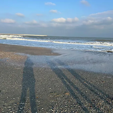 Happiness By Nicole Jutka, Visual Artist * Olimp