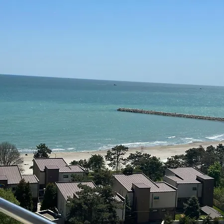 Happiness By Nicole Jutka, Visual Artist