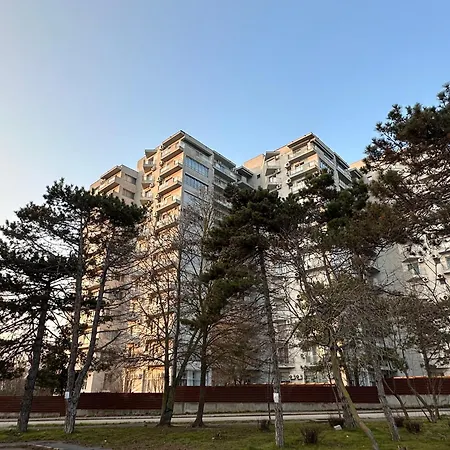 شقة Happiness By Nicole Jutka, Visual Artist أوليمبْ