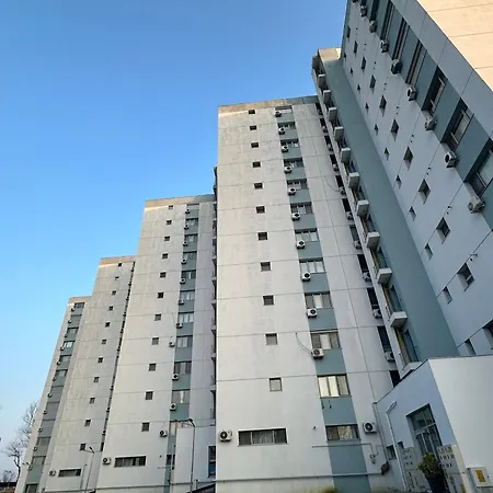 Happiness By Nicole Jutka, Visual Artist * Olimp