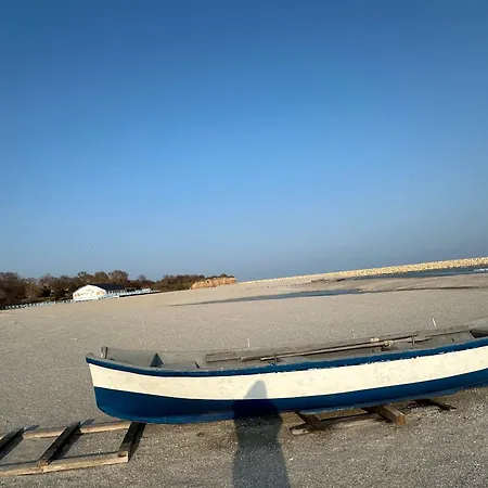 Happiness By Nicole Jutka, Visual Artist Olimp