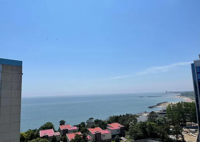 Happiness By Nicole Jutka, Visual Artist Olimp