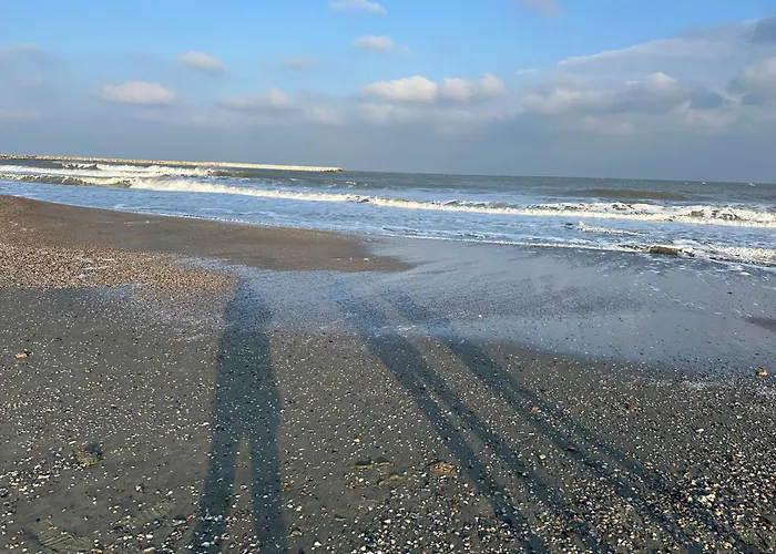 Happiness By Nicole Jutka, Visual Artist * Olimp