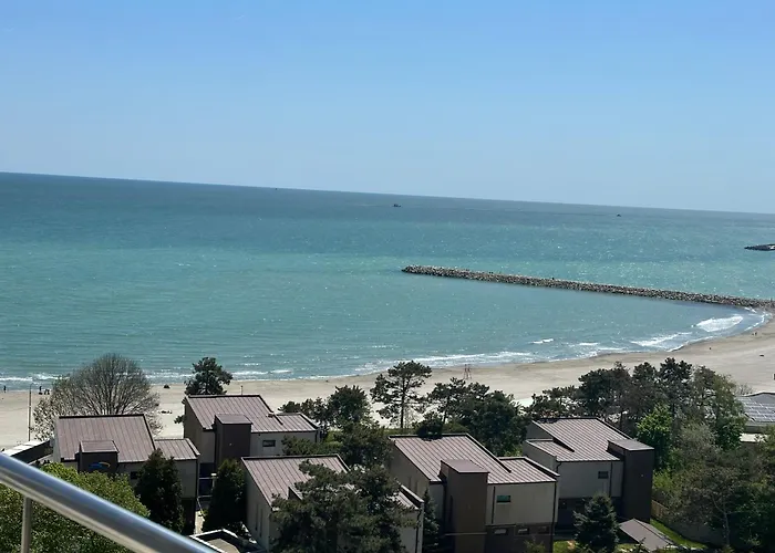 Happiness By Nicole Jutka, Visual Artist