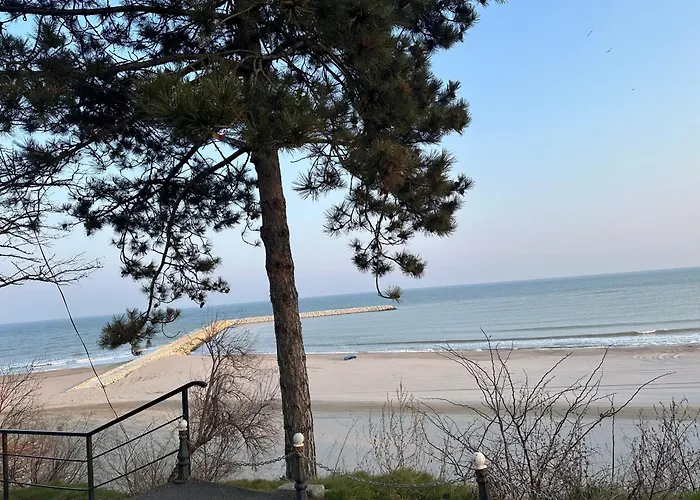 Happiness By Nicole Jutka, Visual Artist Apartament