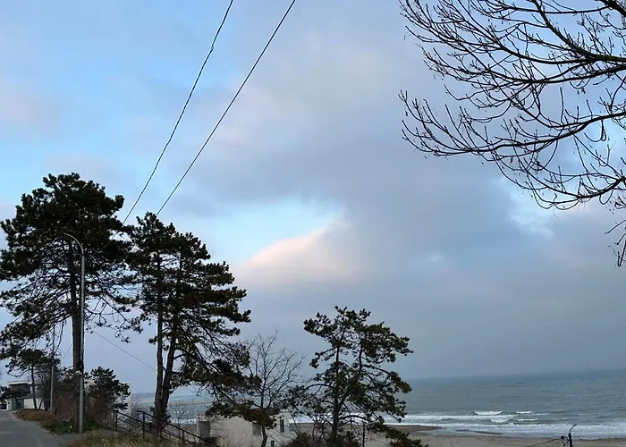 Happiness By Nicole Jutka, Visual Artist Apartamento *