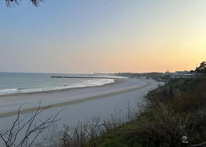 Happiness By Nicole Jutka, Visual Artist Olimp